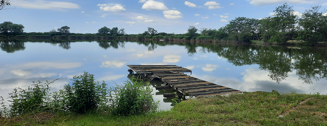 NÉPI BÚTOR